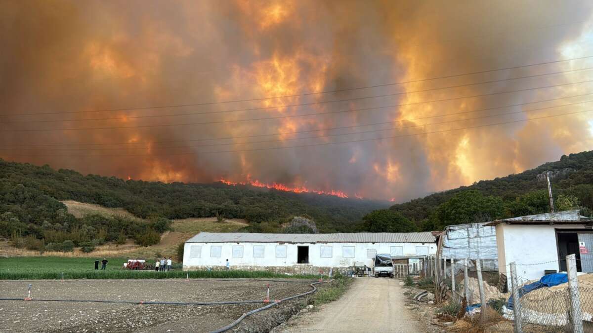Bursa’daki orman yangınına 718 personel müdahale ediyor