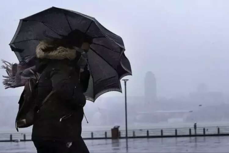 Bursa Büyükşehir Belediyesi, kent