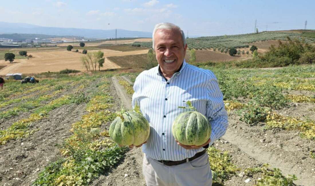 Bursa'nın tadı ve kokusuyla