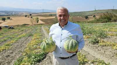 Bursa’nın ünlü Konaklı kavununda üretim iki kat arttı