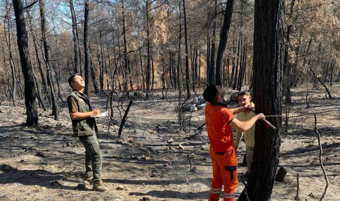 Bursa'nın Orhaneli ve Harmancık