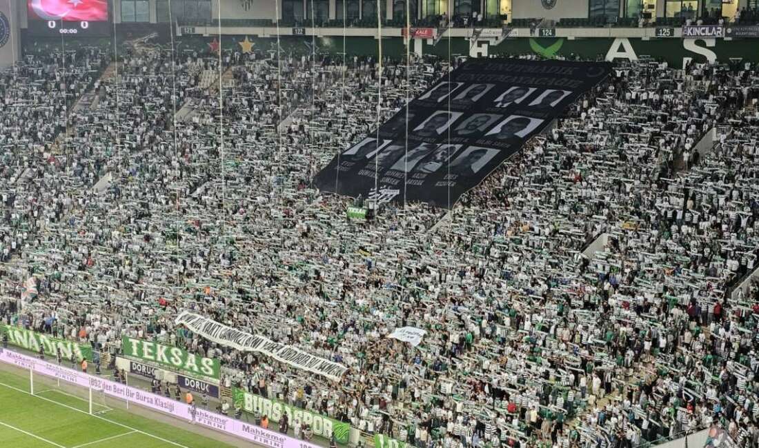 Eskişehir ve Bursa’daki orman yangınlarında