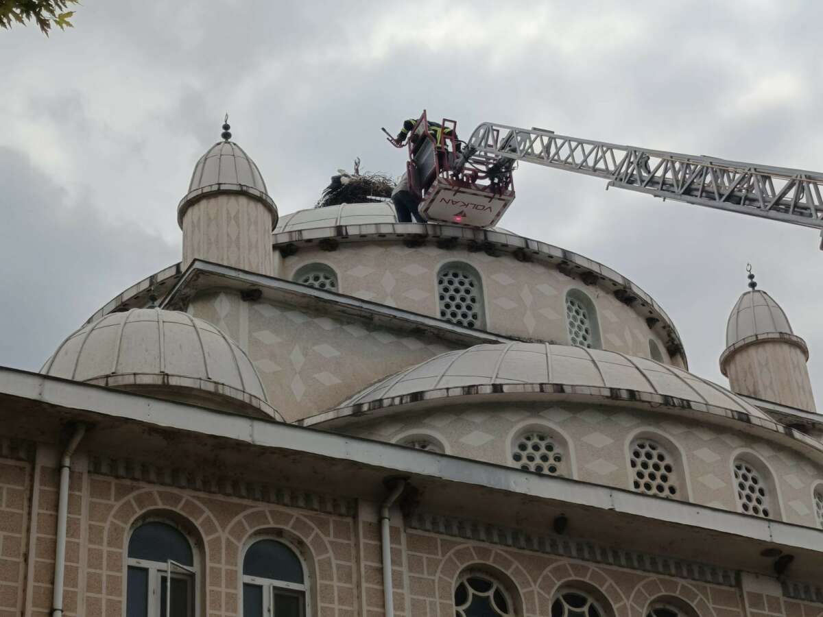 Cami kubbesinde mahsur kalan leyleği itfaiye kurtardı