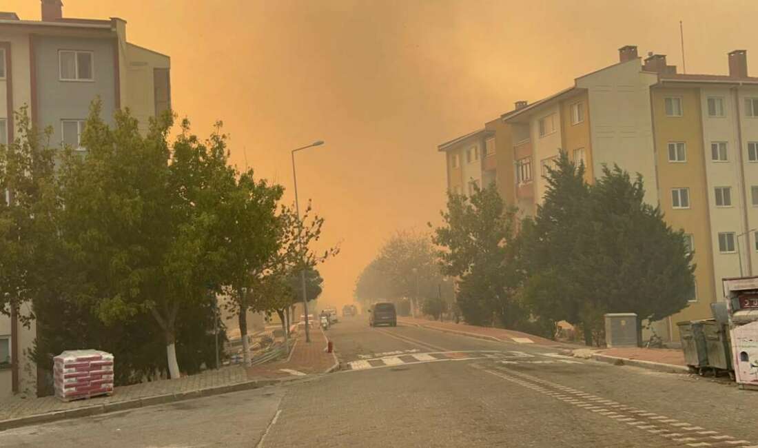 Çanakkale'de çıkan orman yangınını