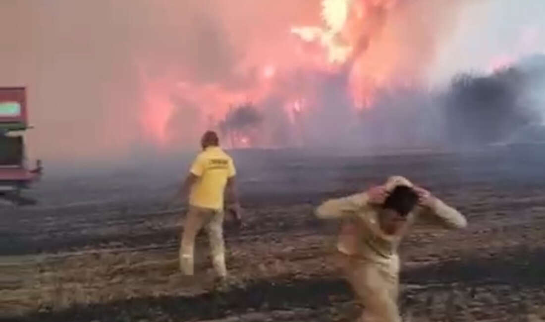 Çanakkale’de alev savaşçılarının zorlu mücadelesi kamerada Çanakkale’nin Gelibolu ilçesinde çıkan