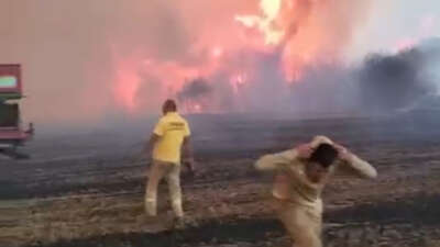 Çanakkale’nin Gelibolu ilçesinde çıkan orman