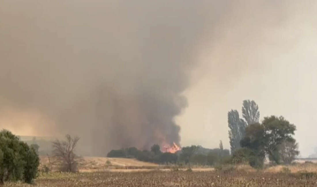 Çanakkale'nin Gelibolu ilçesinde çıkan