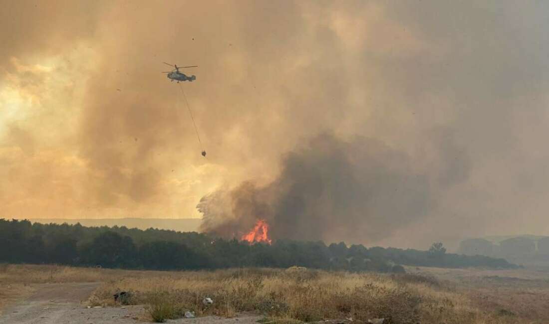 Çanakkale'de çıkan orman yangınını