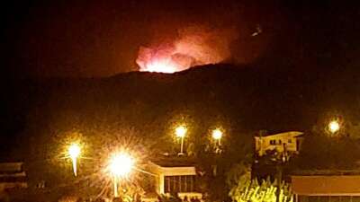 Çanakkale'nin Bayramiç ilçesinde çıkan orman