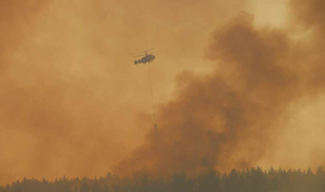 Çanakkale’deki yangında 126 vatandaş tahliye edildi Çanakkale'nin Gelibolu ilçesinde çıkan