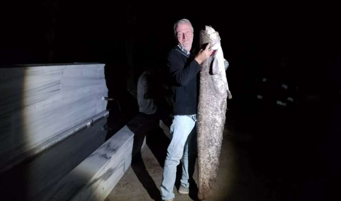 Çiçeközü Barajı’nda dev yayın balığı Bursa'nın Yenişehir ilçesinde bulunan