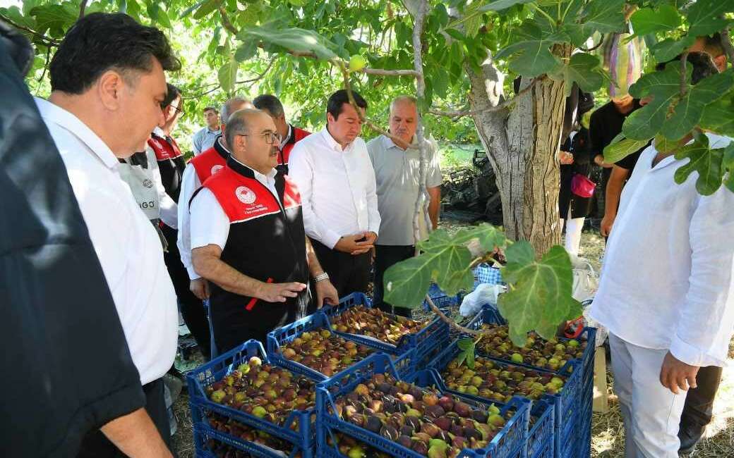 Balıkesir’in Havran ilçesinde lezzeti,