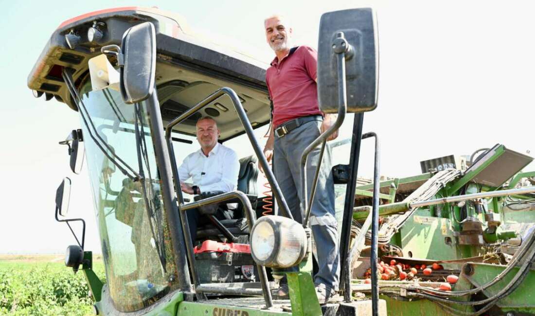 Türkiye'nin salçalık domates ihtiyacının