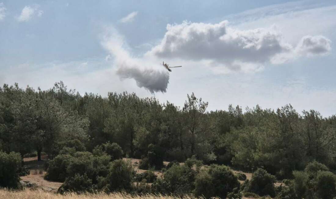 Edirne'nin Keşan ilçesinde makilik
