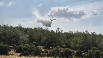 Edirne'nin Keşan ilçesinde makilik ve