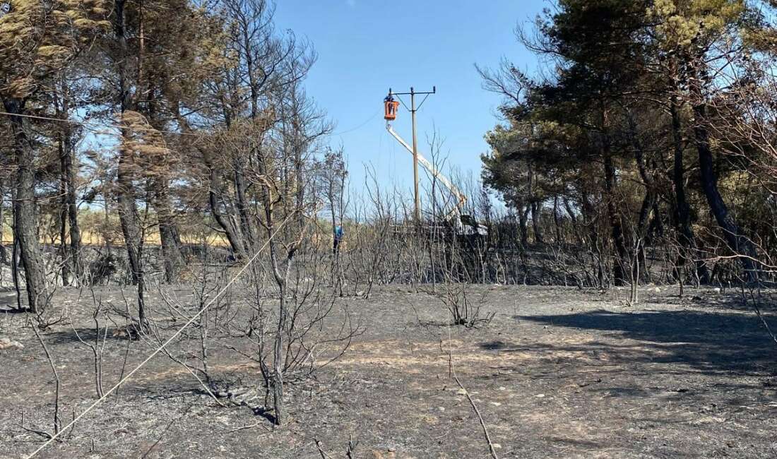 Ülke genelinde farklı bölgelerde