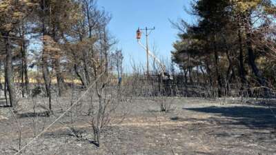  Enerji hatları yangının ardından yeniden onarılıyor
