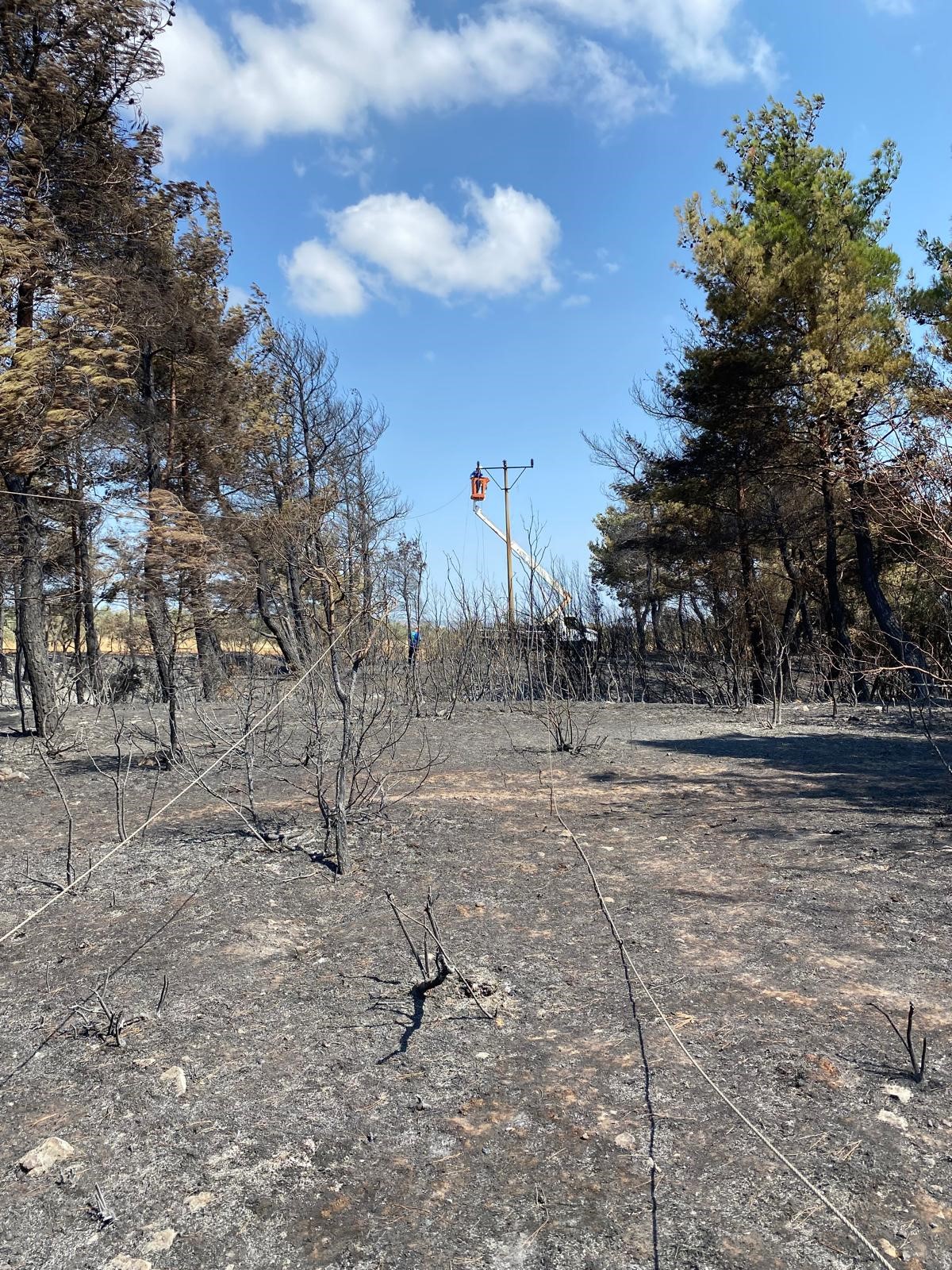  Enerji hatları yangının ardından yeniden onarılıyor