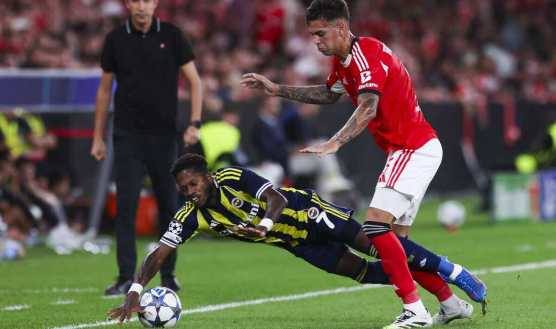 Fenerbahçe, UEFA Şampiyonlar Ligi