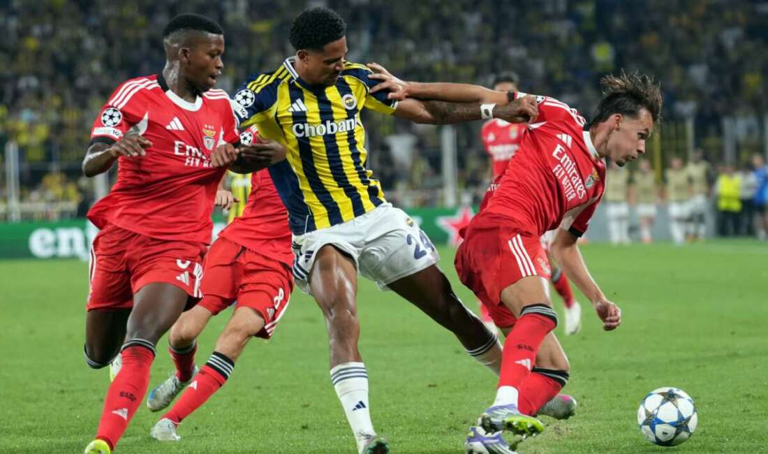 Fenerbahçe, UEFA Şampiyonlar Ligi
