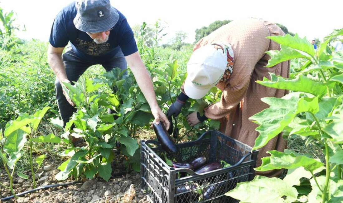Osmangazi Belediyesi iştiraki Gazi