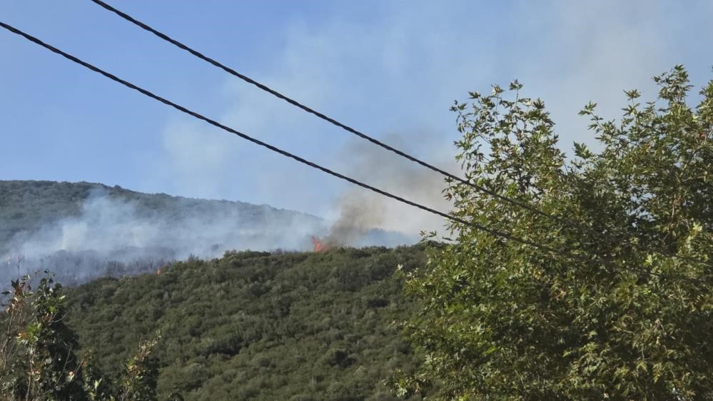 Gedelek yangını ile ilgili 1 kişi gözaltına alındı Bursa’nın Orhangazi ilçesinde dün