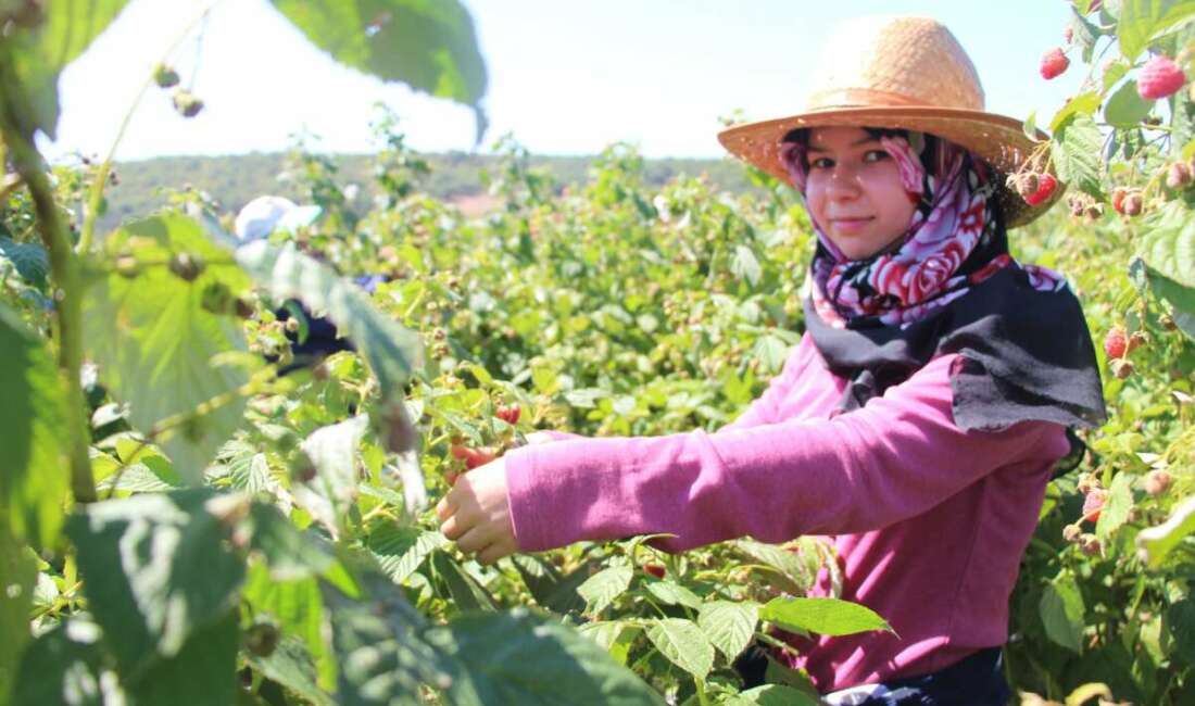 Bolu'da yaşayan 26 yaşındaki