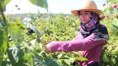 Genç girişimci tarımda kendi işinin patronu oldu