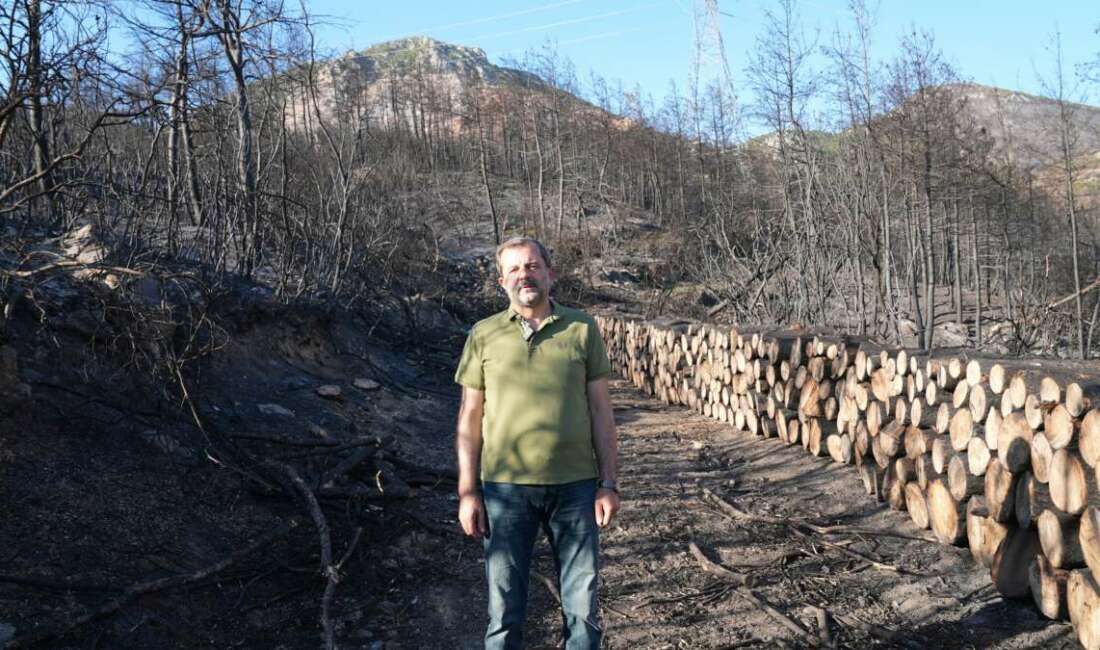 Gürsu’da milli ağaçlandırma gününde kampanya düzenlenecek Bursa'nın Gürsu ilçesinde yaşanan