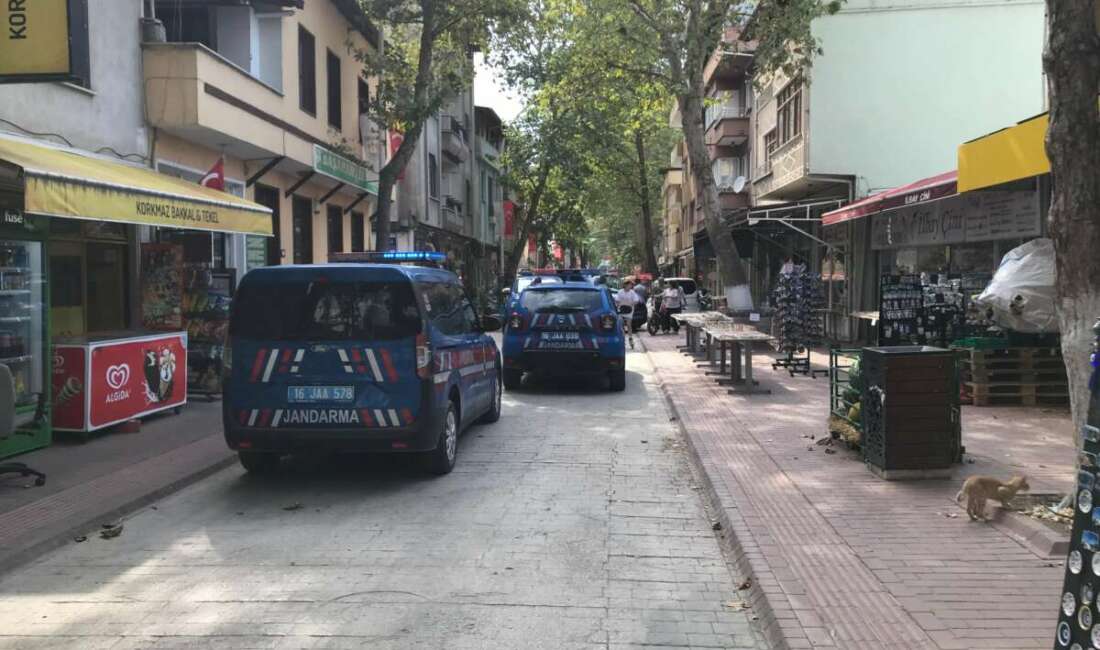 Bursa’nın İznik ilçesinde, bir