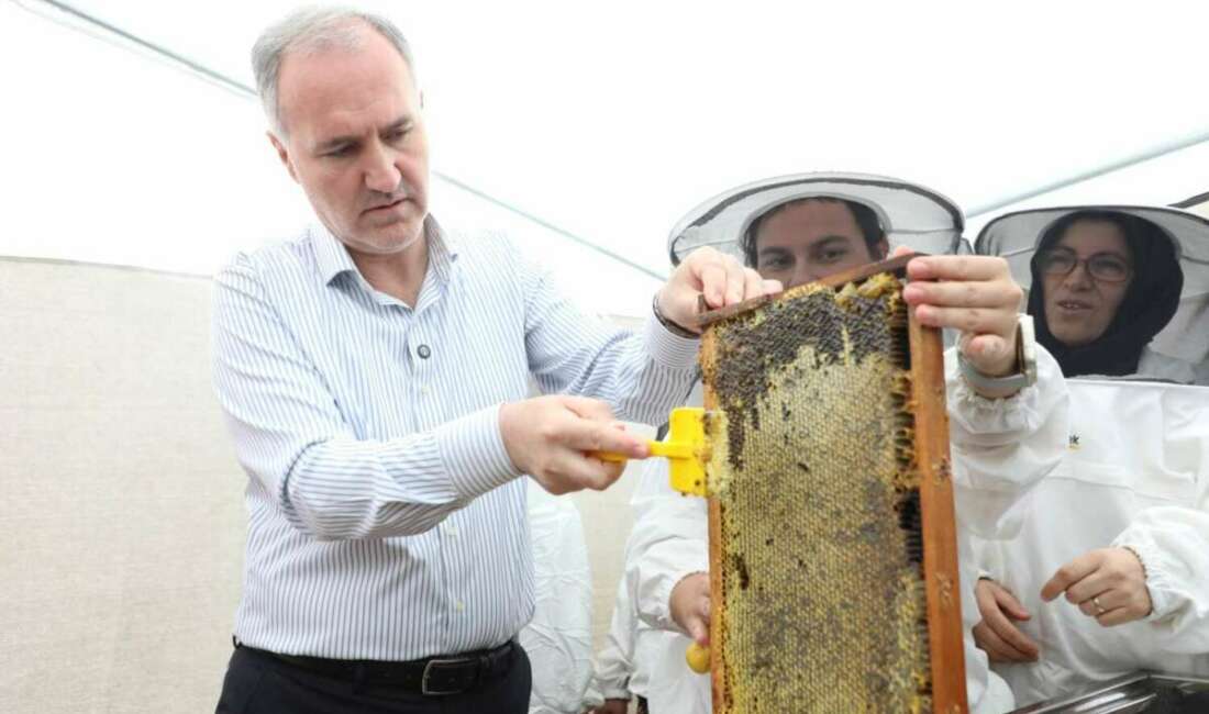 İnegöl’de 12 bin koloni