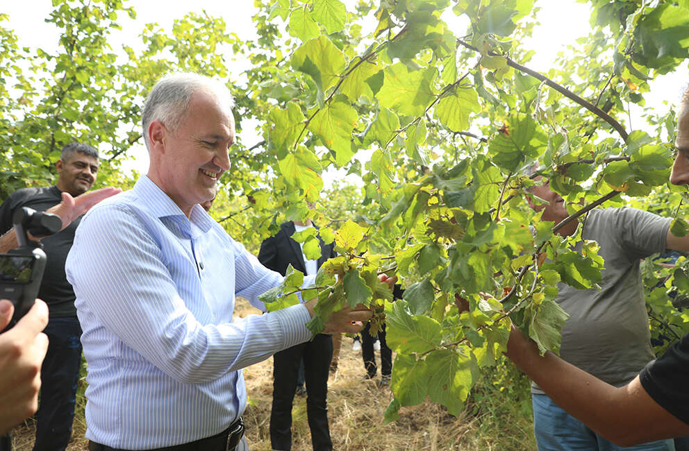 Geçtiğimiz yıl Türkiye’nin fındık