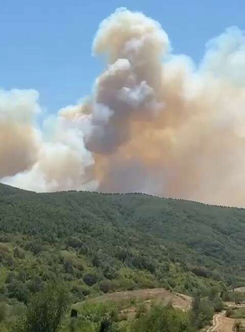 İznik’te orman yangını başladı, müdahale sürüyor Bursa’nın İznik ilçesine bağlı