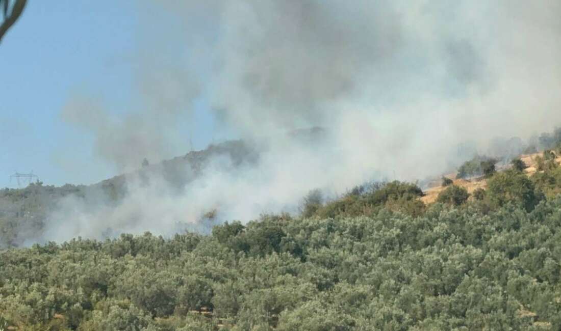 İznik’te orman yangını Bursa'nın İznik ilçesinde ormanlık