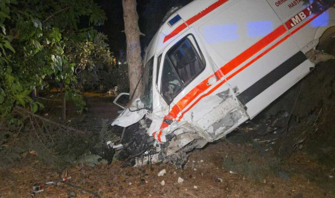 Bursa’nın Orhangazi ilçesinde kamyonetin