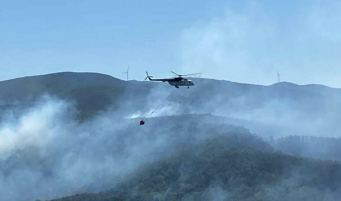 Kocaeli'nin Karamürsel ilçesinde çıkan
