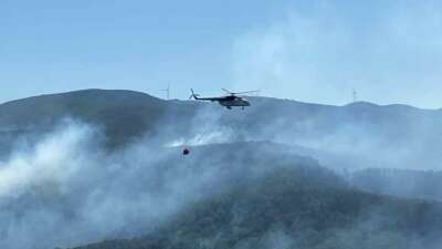 Kocaeli'nin Karamürsel ilçesinde çıkan orman
