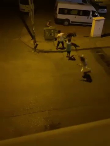 Kavga ettiği kişiye kaldırım taşıyla saldırdı