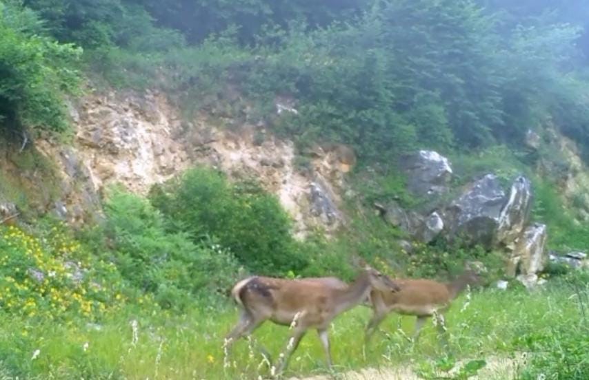 Bursa’nın doğal zenginlikleri, bu
