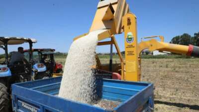 Kuru Fasulye Hasat Makinesi İnegöl tarlalarında mesaiye başladı