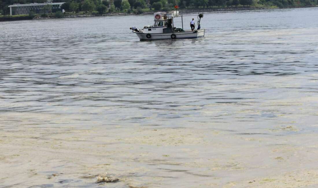 Tarım ve Orman Bakanlığı