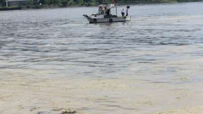 Marmara’nın küçük balıkçılarına “müsilaj” desteği geliyor