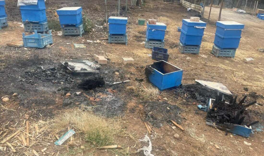 Bursa'nın Gürsu ilçesinde gecenin