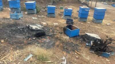 Milyonlarcası ateşe uçtu bir daha geri dönmedi