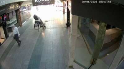 Bursa'nın İnegöl ilçesinde meydana gelen