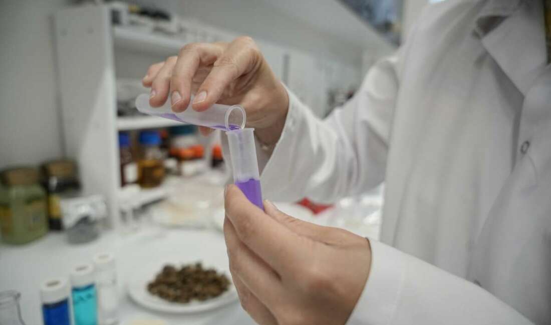 Uludağ'ın güneyinden akan ve Bursa ovasını