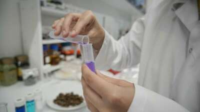 Nilüfer Çayı’na organik atık çözümü