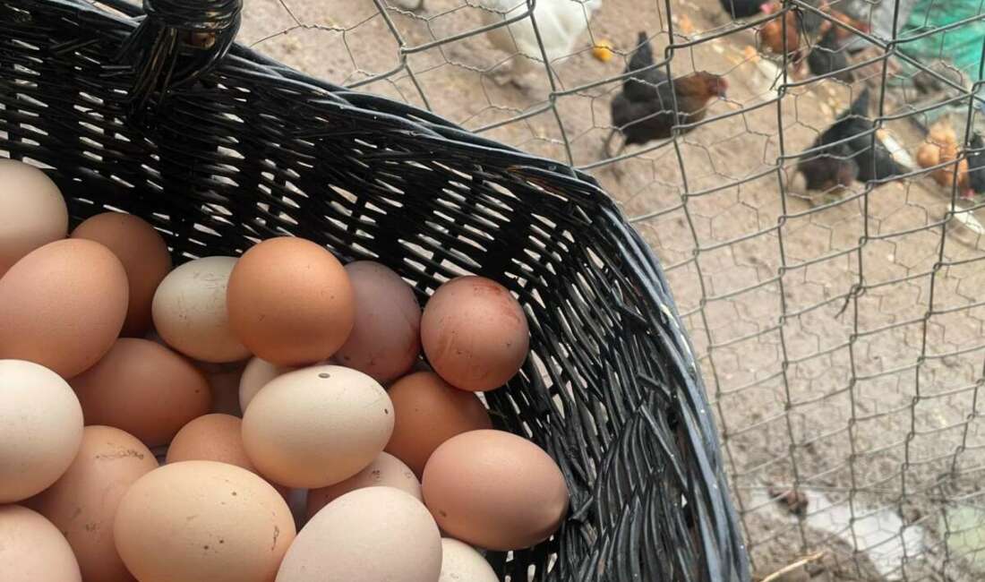 "Mayıs çukuru" denilen talebin