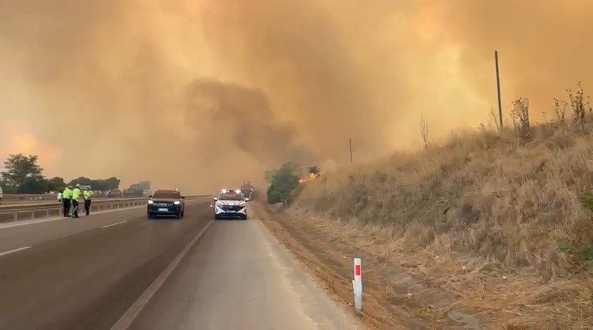 Orman yangınındaki alevler, hayvan çiftliklerine doğru ilerliyor Bursa'nın Yenişehir ilçesinde alevler,