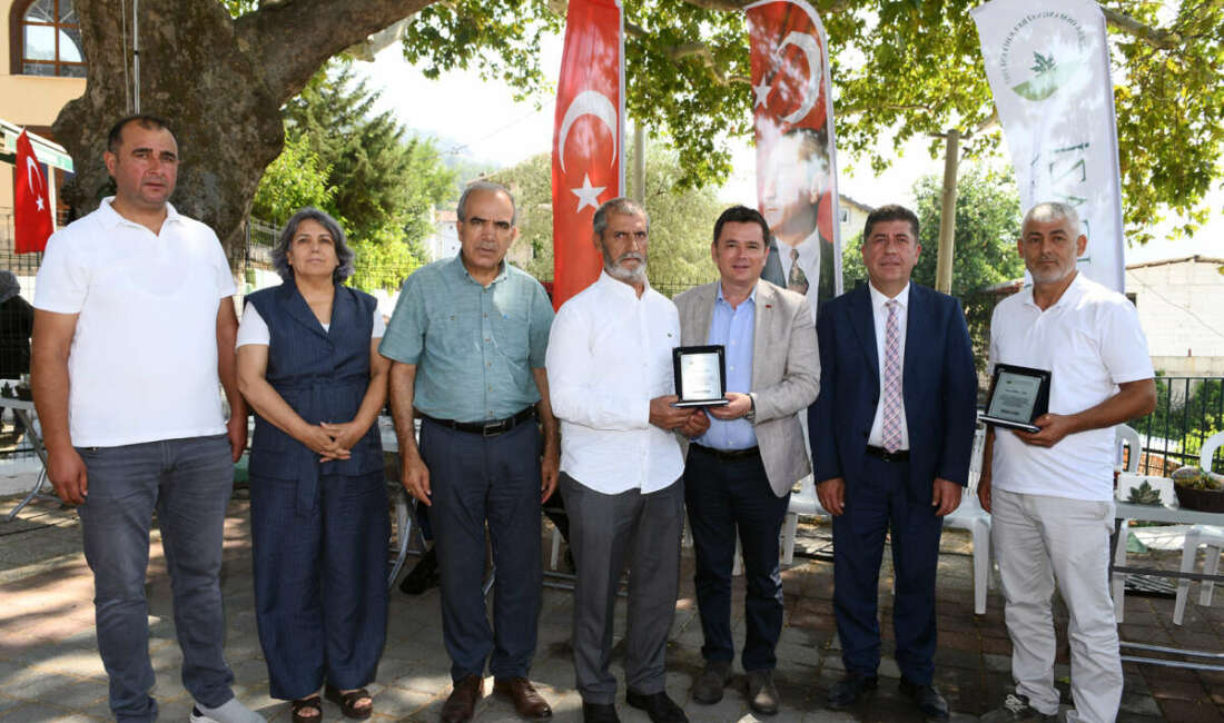 Orman yangınlarının ardından çevre